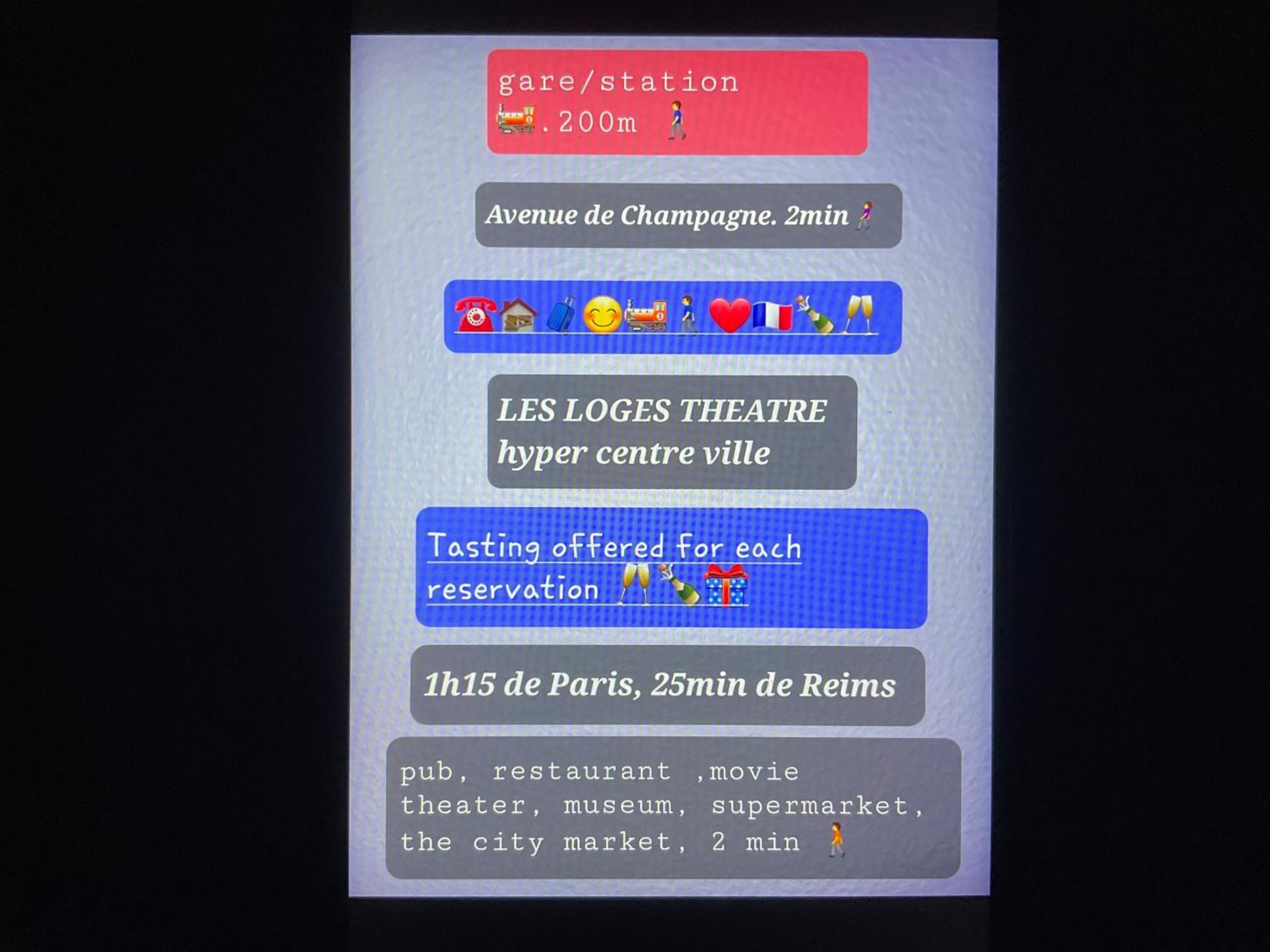 Les Loges Du Theatre Degustation Champagne Offerte Jacuzzi Sauna Jeux Velos Maison Prive 150M2 Historique 14Pers Max Emplacement Exceptionnel Et Chic, 200M De L'Avenue De Champagne, Gare, Musee, Jardins, Restaurations, Toutes Commodites Épernay Exterior foto