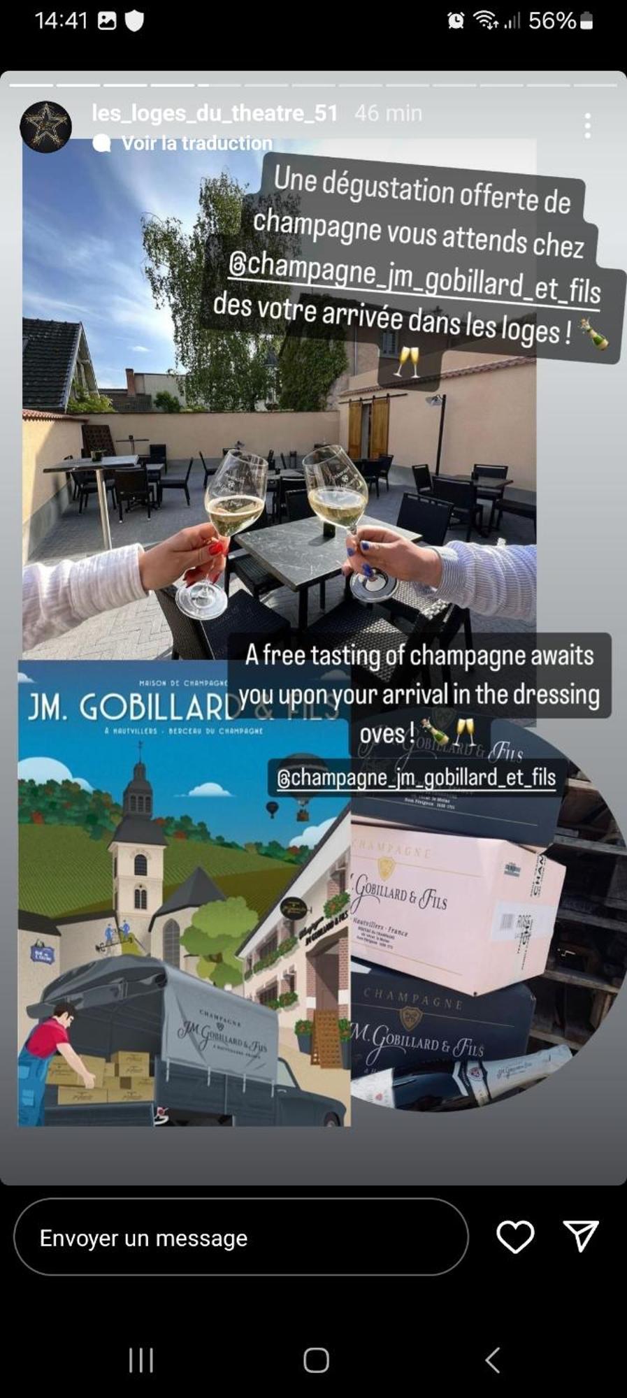 Les Loges Du Theatre Degustation Champagne Offerte Jacuzzi Sauna Jeux Velos Maison Prive 150M2 Historique 14Pers Max Emplacement Exceptionnel Et Chic, 200M De L'Avenue De Champagne, Gare, Musee, Jardins, Restaurations, Toutes Commodites Épernay Exterior foto