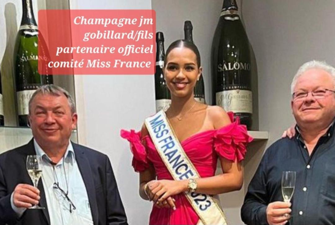 Les Loges Du Theatre Degustation Champagne Offerte Jacuzzi Sauna Jeux Velos Maison Prive 150M2 Historique 14Pers Max Emplacement Exceptionnel Et Chic, 200M De L'Avenue De Champagne, Gare, Musee, Jardins, Restaurations, Toutes Commodites Épernay Exterior foto